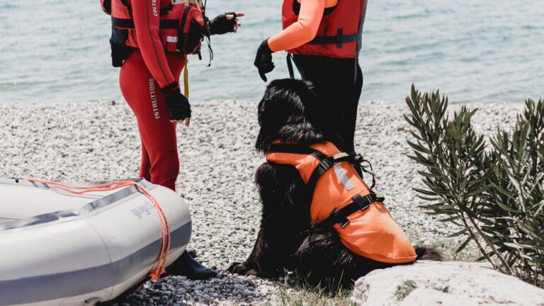 Plaże Goa stawiają na bezpieczeństwo turystów